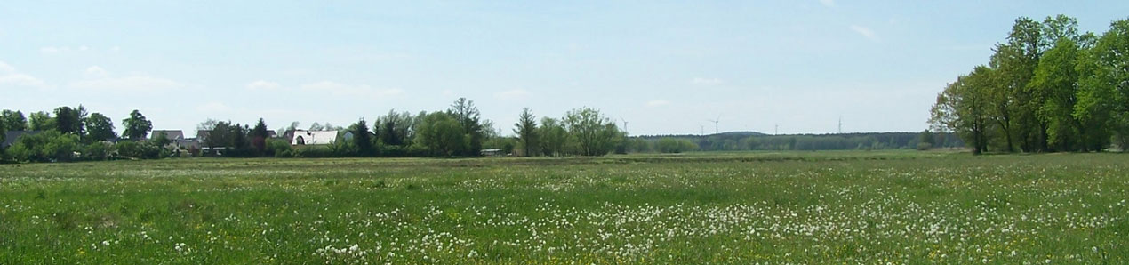 Impressionen aus dem Amtsgeniet