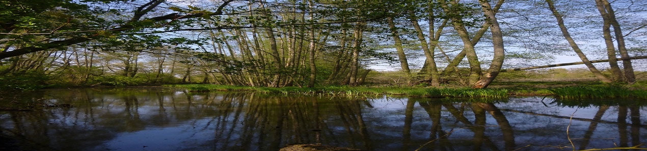 Impressionen aus dem Amtsgeniet